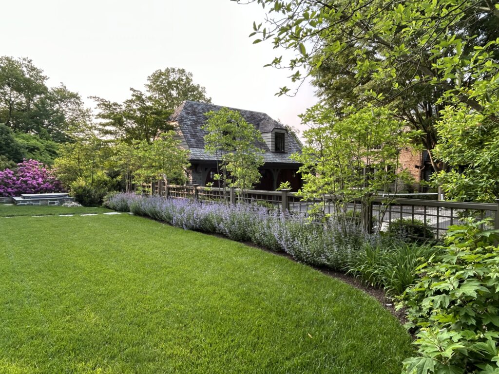 Lawn Panel with Aromatic Borders and Young Trees