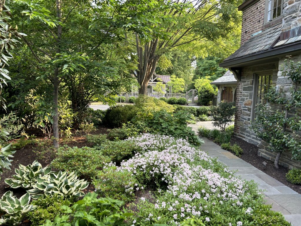 Side Path Immersed in Textural Layers