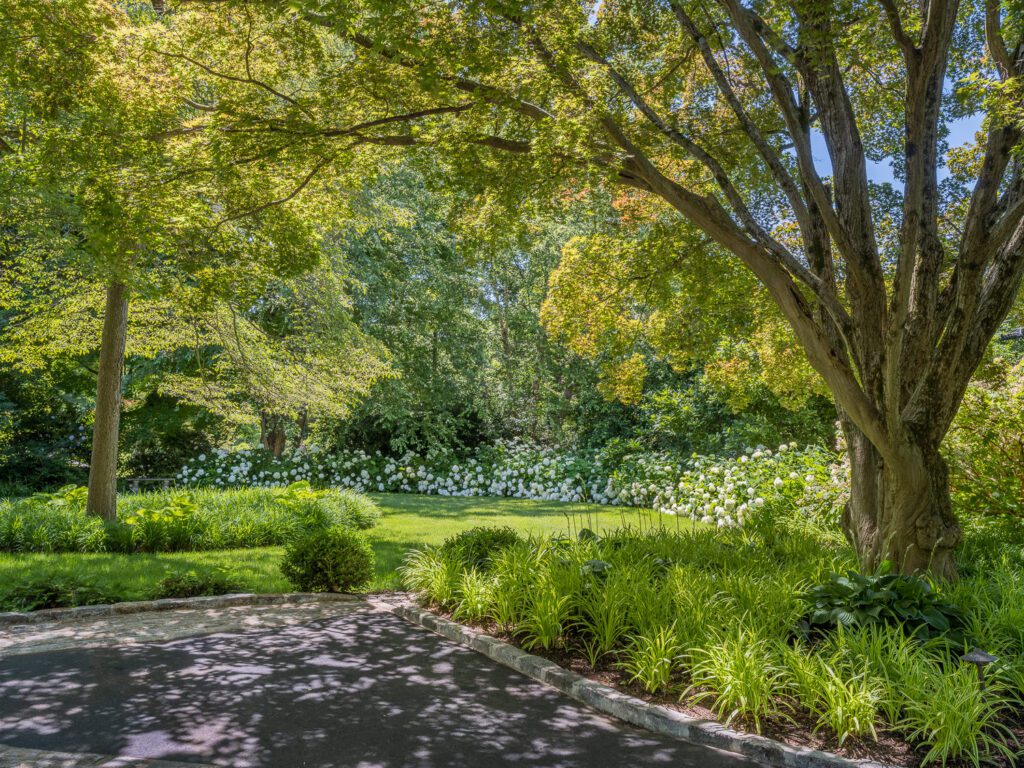 Woodland Edge Garden with Expansive Lawn