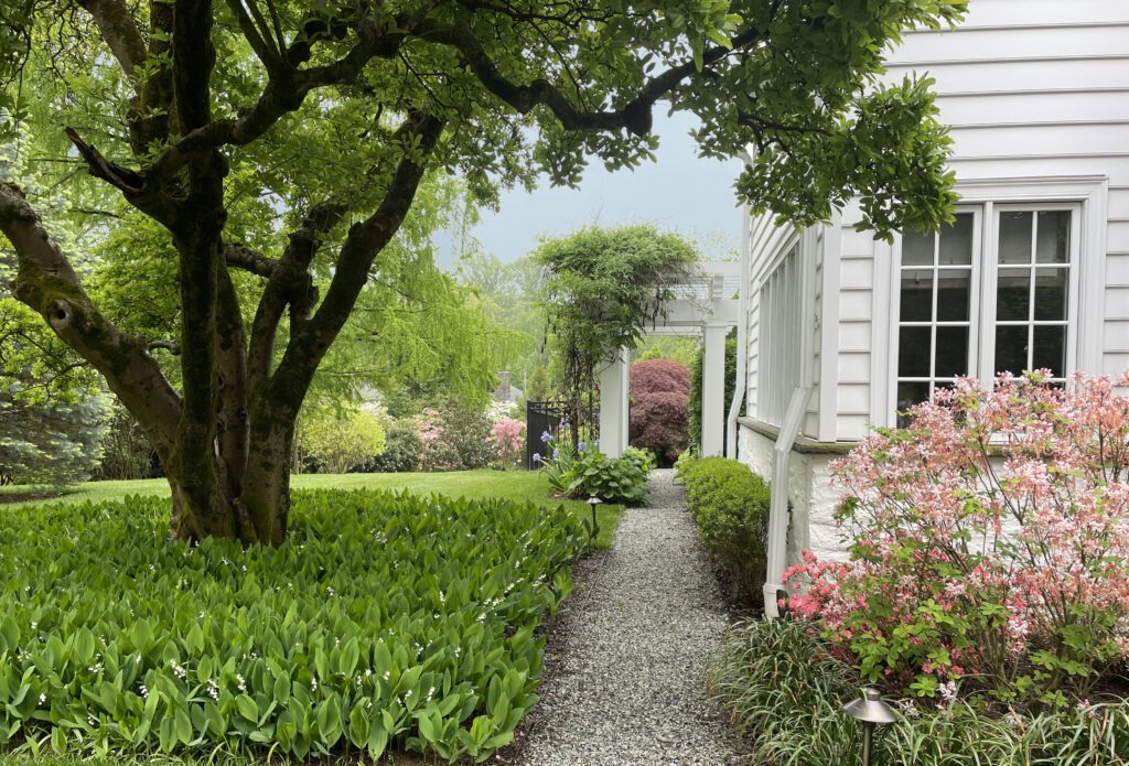 Walkway Framing a Quiet Passage to the Garden Rooms